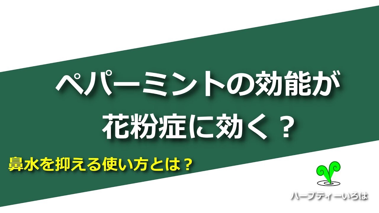 ペパーミントの効能が花粉症に効く 鼻水を抑える使い方とは Youtube