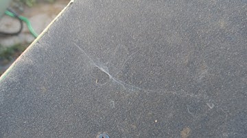 Rough Cut: Segment brushes off the cobbwebs