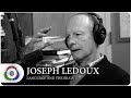 Joseph LeDoux on Language and the Brain