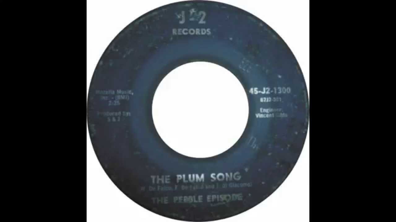The Pebble Episode - The Plum Song