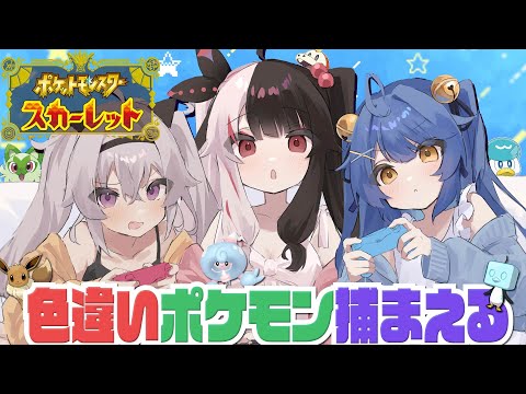【ポケモンSV】色違いポケモン捕まえに【にじさんじ魔使マオ】