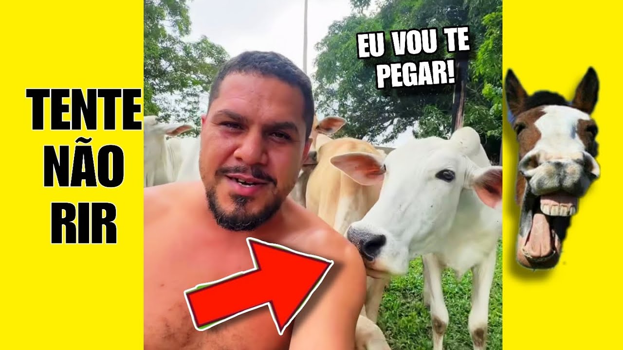 VÍDEOS ENGRAÇADOS 39: TENTE NÃO RIR #videosengracados #tentenaorir #humor #comedia #memes #tiktok 
