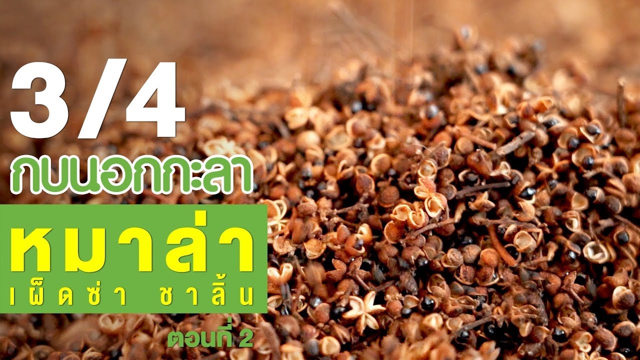 กบนอกกะลา : หมาล่า เผ็ดซ่า ชาลิ้น (2) ช่วงที่ 3/4 (30 ส.ค.61)