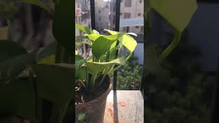 The EU just made “eco-friendly” illegal — without proof behind it. #greenwashing #brandstrategy #eco