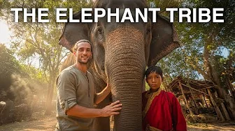 THE ELEPHANT MEN: The Incredible Story of the Tribe That Lives with Elephants in Thailand 🇹🇭
