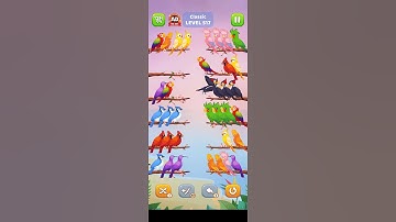 #bird #sort #level 517