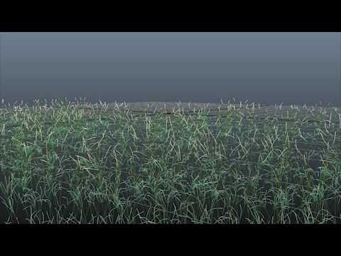 チーム竜馬伝メイキングMayaペイントエフェクト.mp4