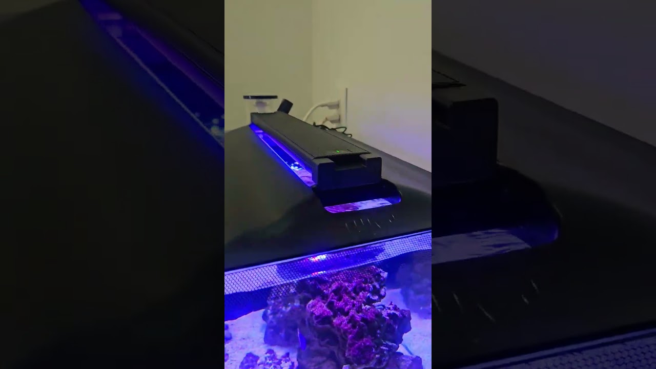 New Skimmer, thermostat and lamp. 