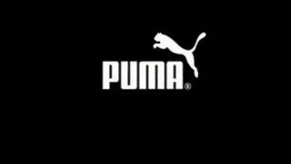 puma stick