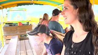 Sunflower Festival - Cornbellys 2022 - Spanish Fork, Utah