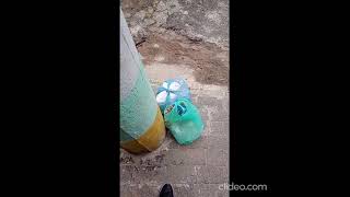 PRESERVAÇÃO DO MEIO AMBIENTE NO DIA A DIA