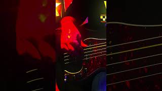 Björk | Hidden Place Bass Cover SHORT