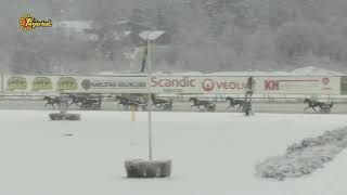 Vidéo de la course PMU PRIX STOLOPP