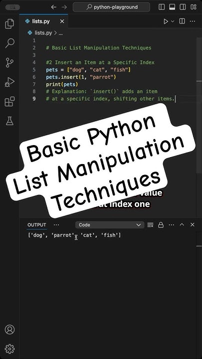 4 Basic Python List Manipulation Techniques - YouTube