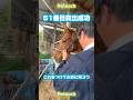 【2026.04.01】肥育場からの51頭目🐴 まずは、大阪の河内長野まで輸送!引退馬の保護 #乗馬 #リタッチ馬 #horse #競馬 #動物 #保護団体