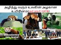Red pandas are endangered in tamil|red panda vs raccoon - ரெண்டும் வேற வேற|#redpanda|#tamilnadu