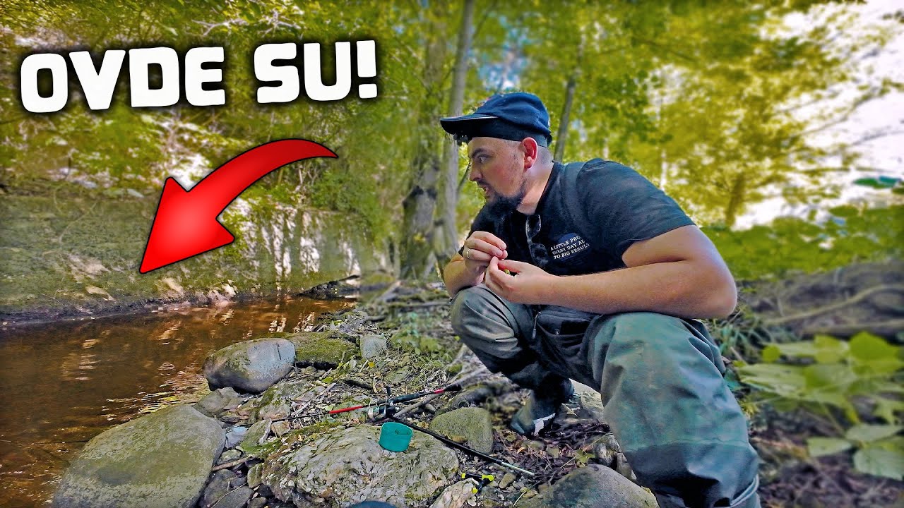 Ribolov POTOČNE MRENE Na PLOVAK - TIHA Voda BRUTALNI UDARCI!