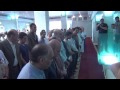 وزير الثقافة ومحافظ القاهرة ونخبة