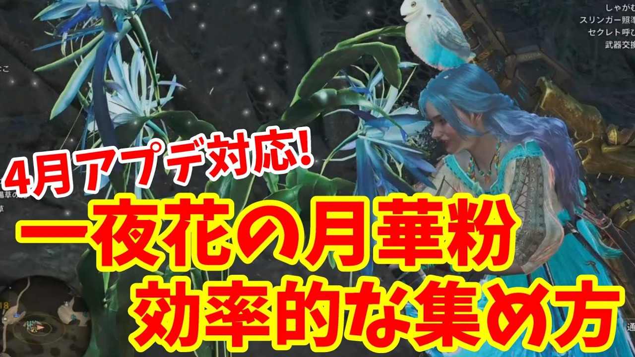 モンハンワイルズ】4月アプデ後の「一夜花の月華粉」の入手方法と効率 