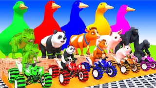 5 Giant Duck, Monkey, Piglet, chicken, dog, Lion, Sheep, Transfiguration funny animal 2023