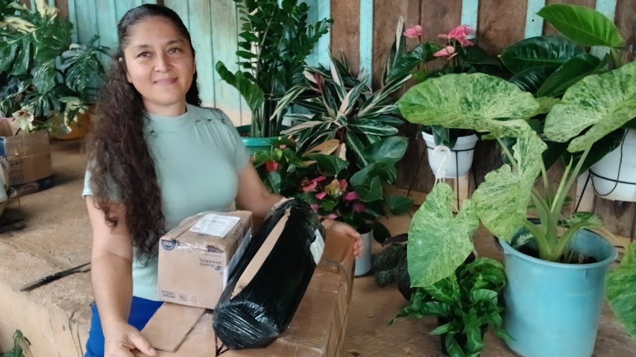 PRIMERAS CAJITAS FELICES DEL AÑO🥰🪴😱❤️