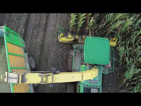 The harvest of fodder maize filmed with the DJI air 2s - Goeree-Overflakkee The Netherlands