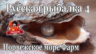 Русская рыбалка 4. Норвежское море. Фарм.  Недельный рекорд!!!