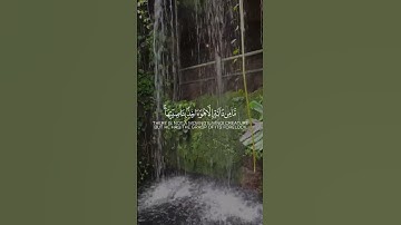إني توكلت على الله ربي وربكم | القارئ محمد هشام