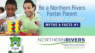 Foster Parenting: Myths and Facts 1