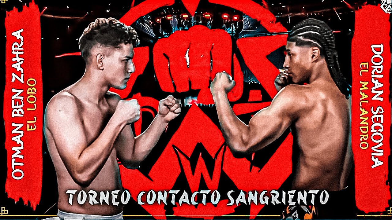 Contacto Sangriento 2 ▶ DOGFIGHT WILD TOURNAMENT 2