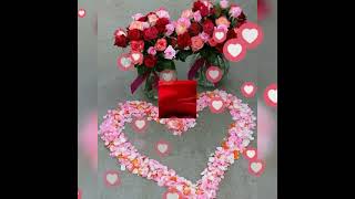 bast good morning with good night video🙏🙏