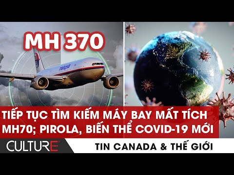 Video: Pyrola là gì: Thông tin về cây thảo mộc Pyrola