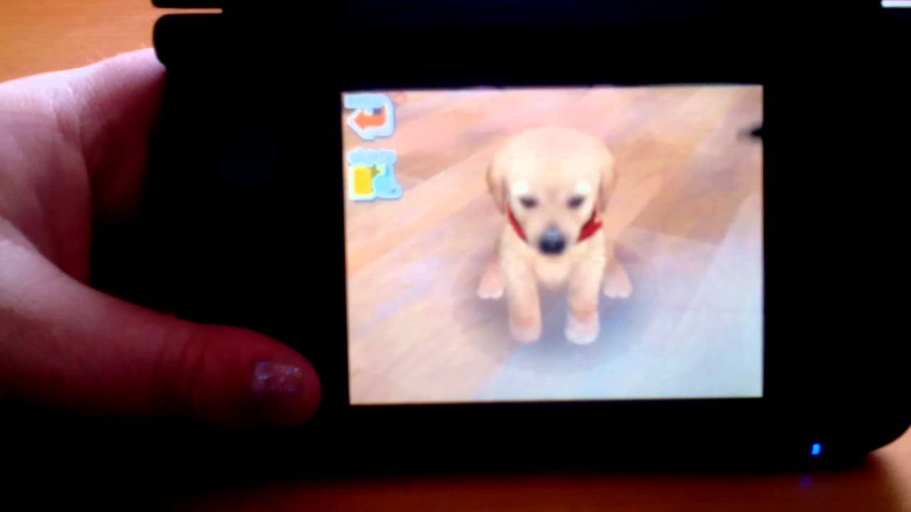 comment dresser son chien nintendogs