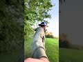 Capture every moment of the