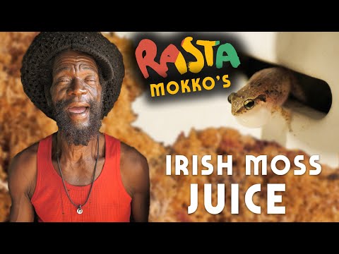Irish Moss JUICE! Bob Marley Favourite 