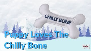 Travis And The Chilly Bone by Canine Company 101 views 2 years ago 37 seconds