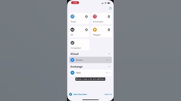 Categorized Reminders List🤩 #apple #iphone #ios #reminder #grocery #smart #hack #tips #tricks #me