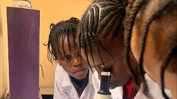 Preparation of Transverse Sections of a Dicot Stem and a Monocot Stem Using Methyl Orange Stain