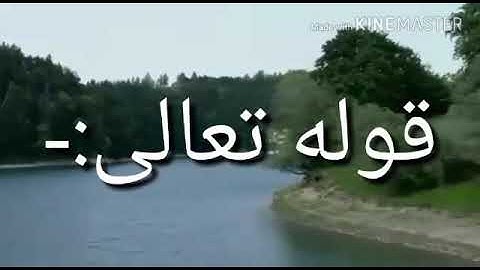 سورة الماعون اية جمال القرش(1)