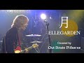 ELLEGARDEN 『月』 Ellegarden - Tsuki (Cover / LIVE映像)