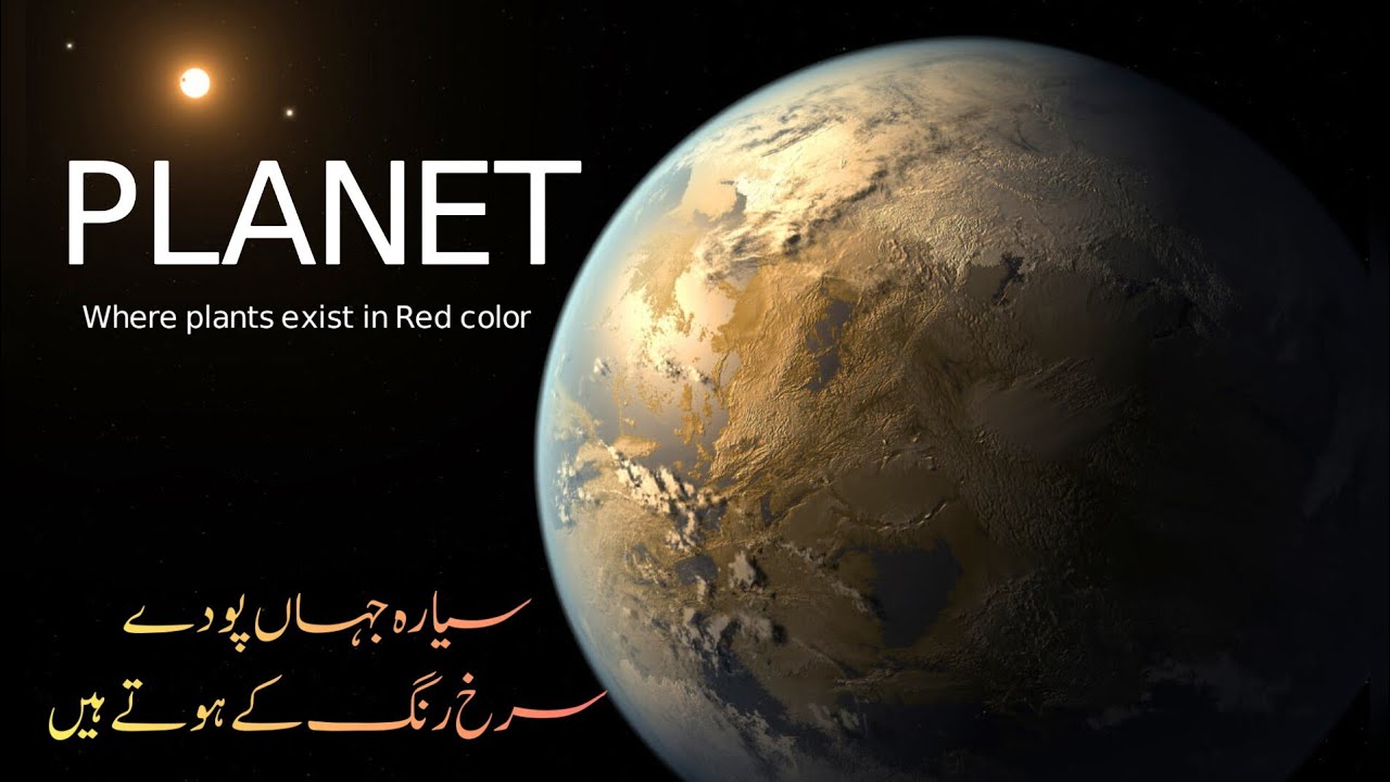 A Planet Where Plants Exist In Red Color Kepler 186f Urdu a-planet-where-plants-exist-in-red-color-kepler-186f-urdu