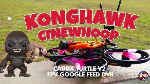 Caddx Turtle V2 DVR FPV Feed Review Test