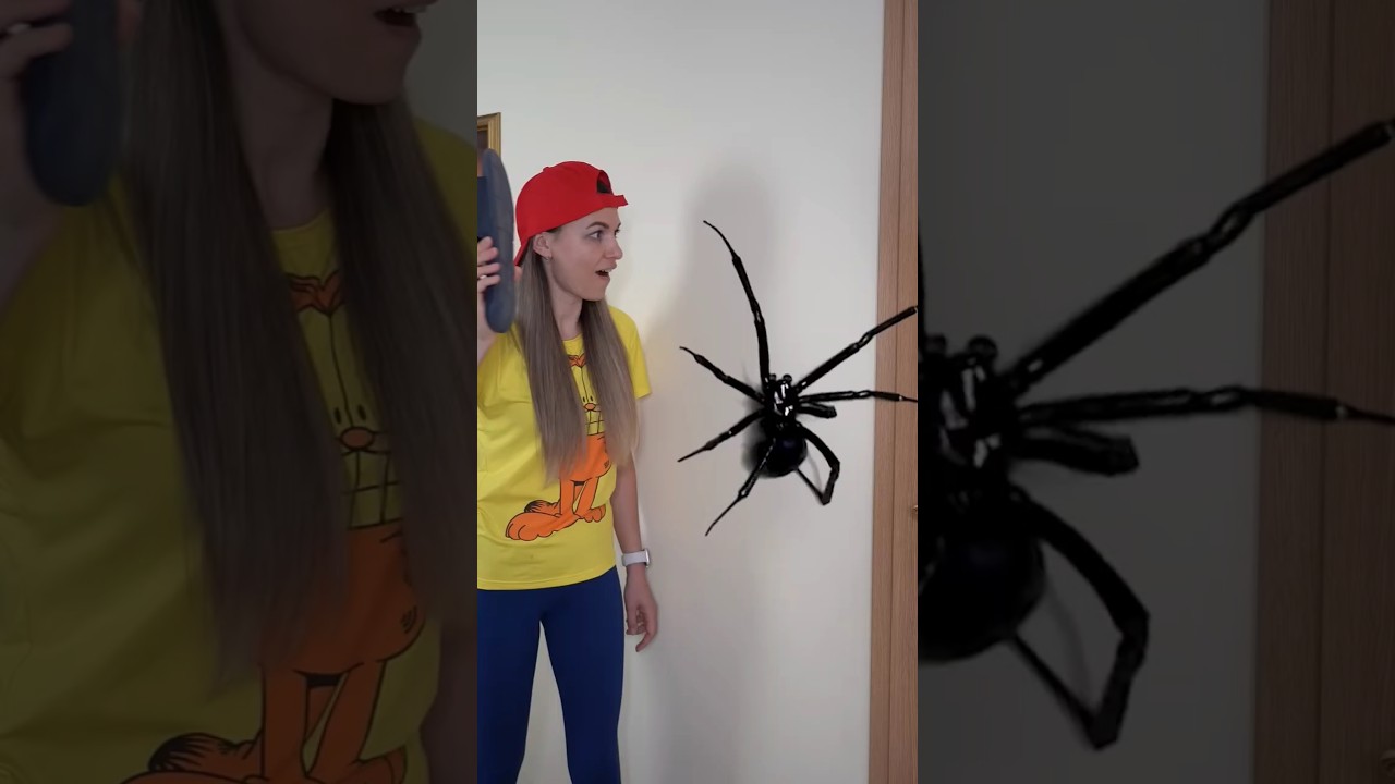 Survival Skills:,🕸️🕷️SMARTideaandUSEFULin Forest