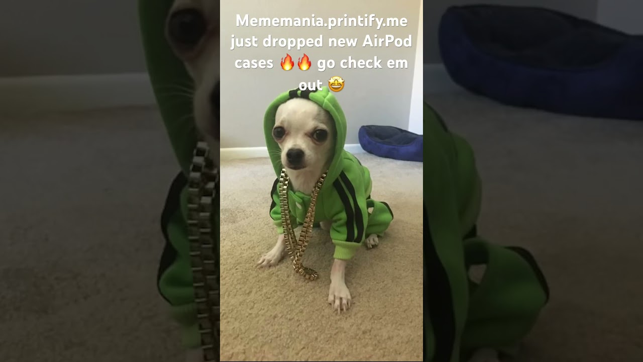 Go check em out they are 🔥🔥🔥 