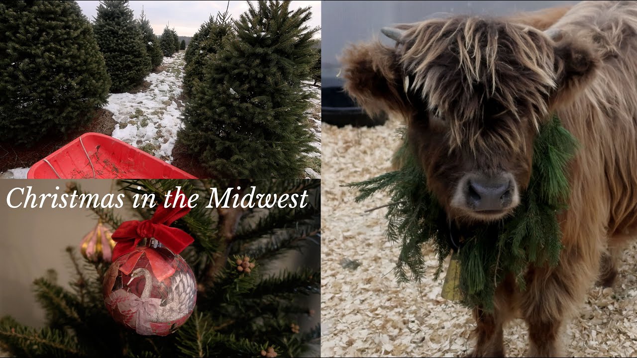 Christmas Vlog in the Midwest I Holiday Crafting I Christmas Tree Farm I Christmas Tree Decorating