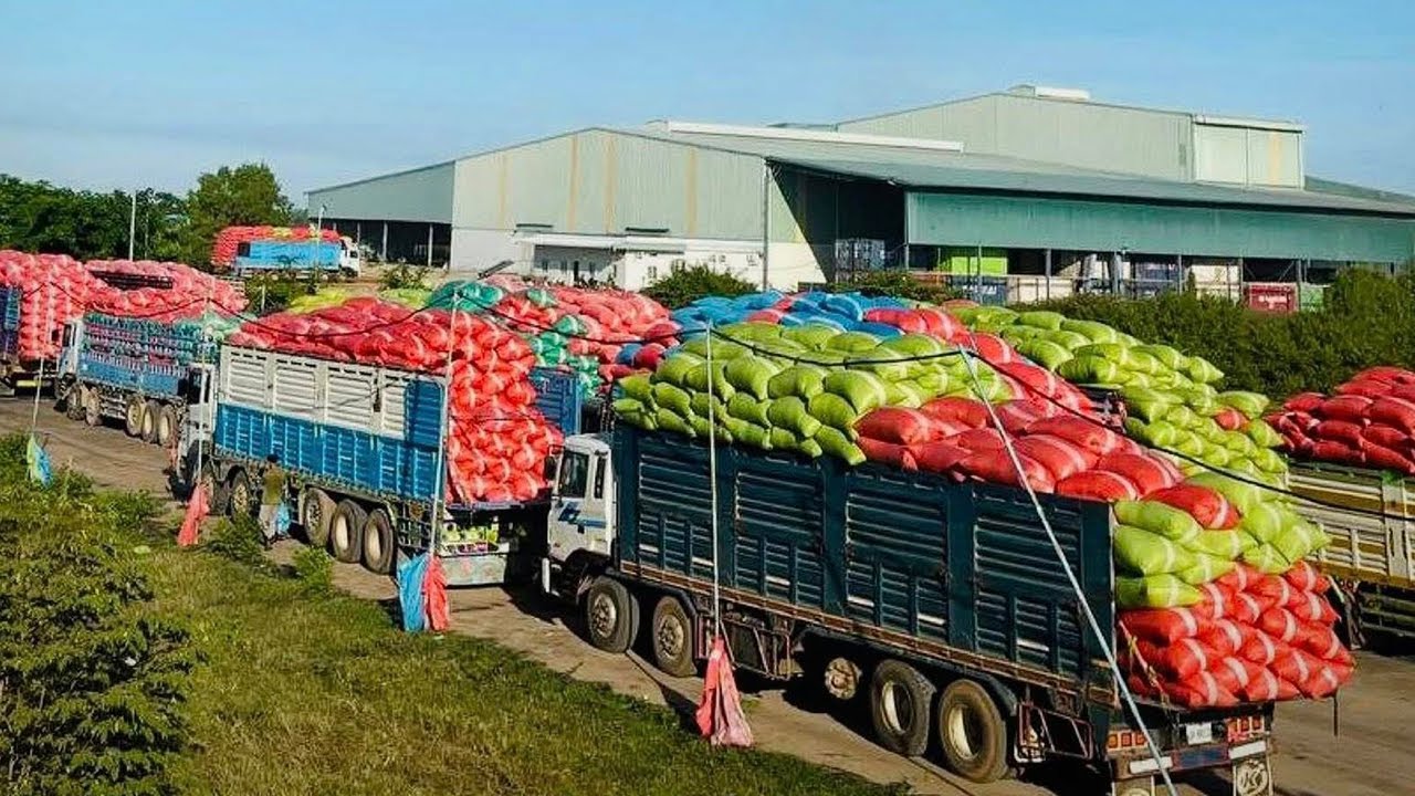 រាជរដ្ឋាភិបាល បញ្ចេញមូលនិធិ ៤០លានដុល្លារបន្ថែម ដើម្បីអន្តរាគមន៍រក្សាលំនឹងតម្លៃស្រូវ រដូវប្រមូលផល