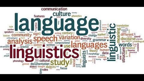 Rheme and Theme in Arabic