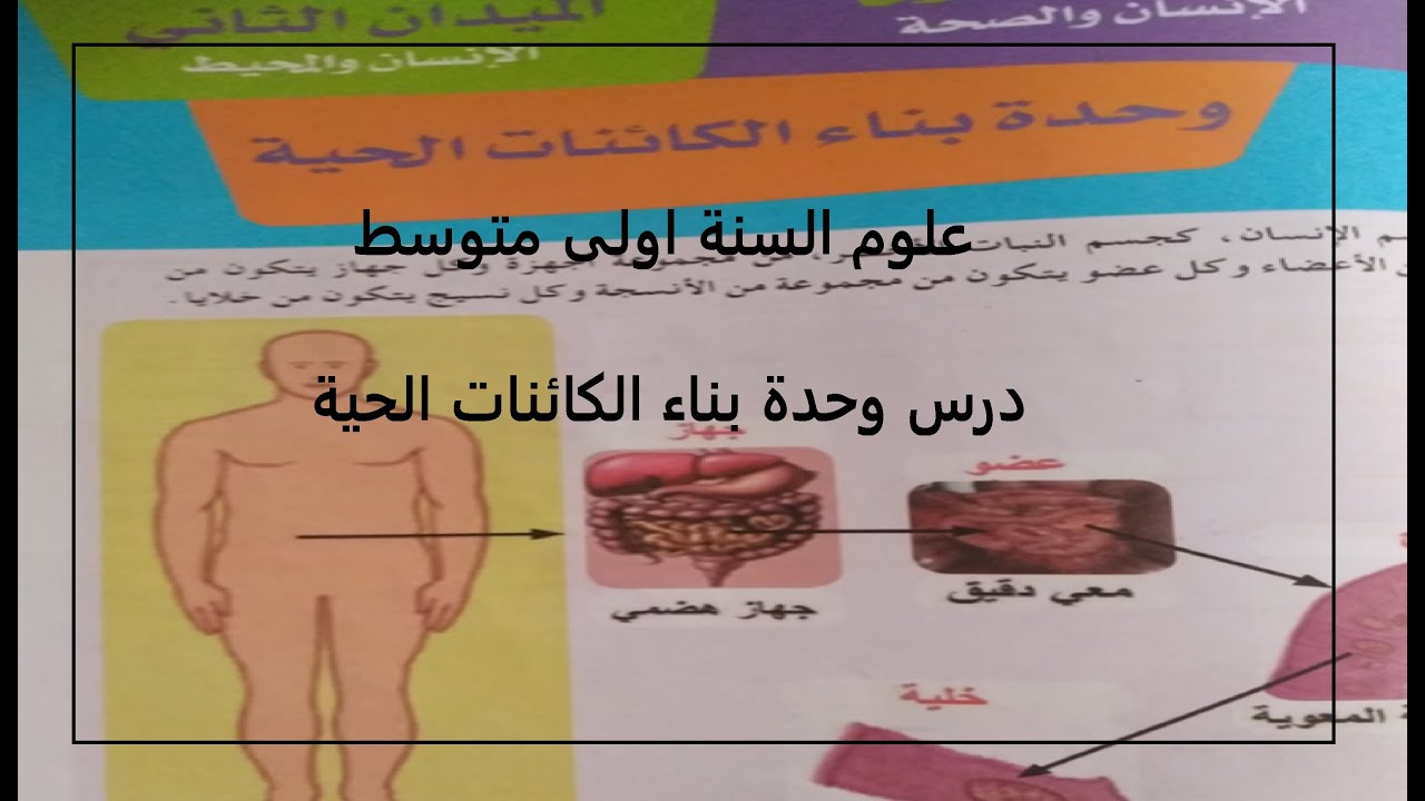 علوم السنة 1 متوسط درس  وحدة بناء الكائنات الحية