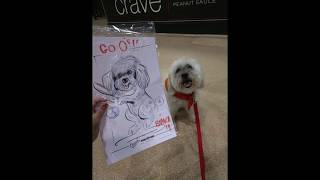 Bark at the Park 2019