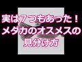 メダカのオスメス見分け方　メダカ屋はこうやって見分けている！ メダカ オスメス 見分け方 滋賀県のメダカ販売店　めだか藁屋　高木正臣